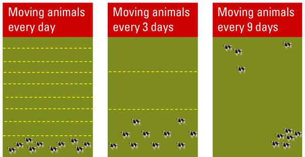 3 diagrams illustrating divisions of paddock for moving animals daily, every 3 days or every 9 days.